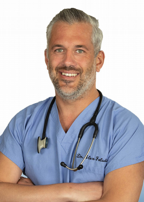 Alexander D. Faludi, DVM